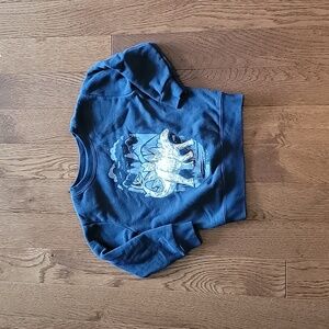 Garanimals dinosaur sweatshirt